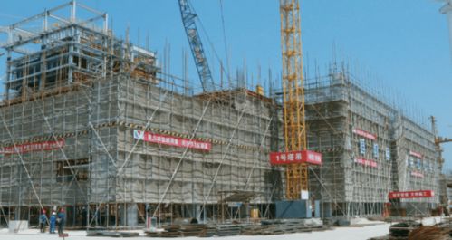 2020年度崇明區(qū)政府實(shí)事項(xiàng)目重點(diǎn)建筑工程完成情況綜述